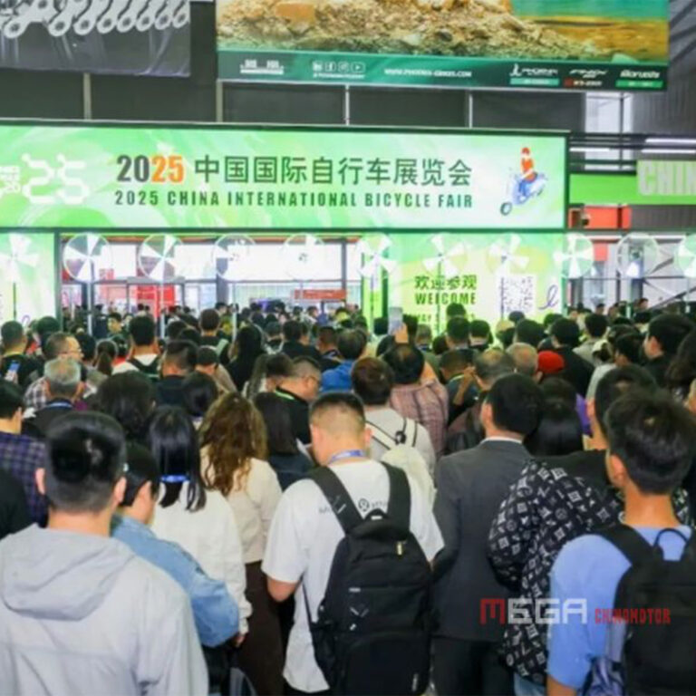 China Cycle 2025 International Bicycle Exhibition Analysis Report - THE PACK